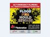 Emergency Plumber & Water Damage Downtown