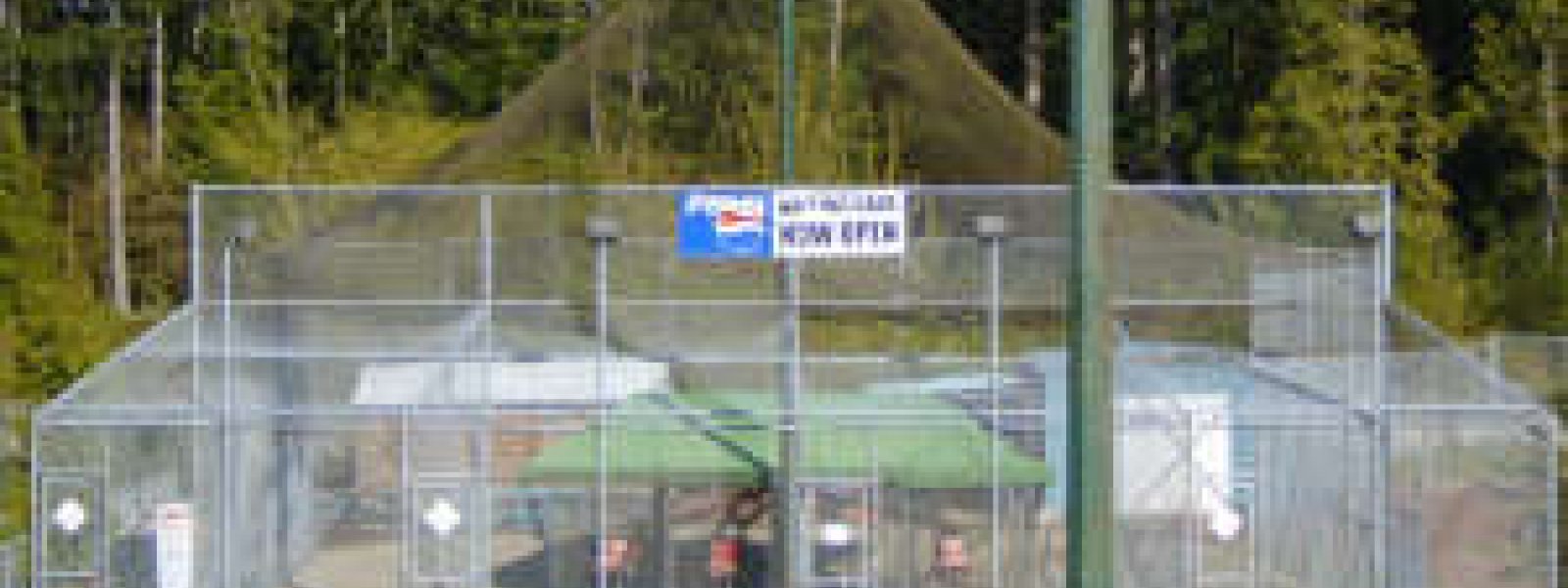 Softball City Batting Cages 2201148st, Surrey, BC