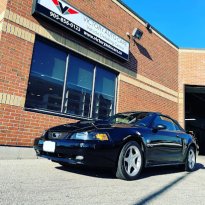 Victory Auto Care Vaughan Mustang Detailing
