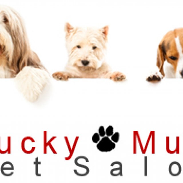 mucky mutt pet salon